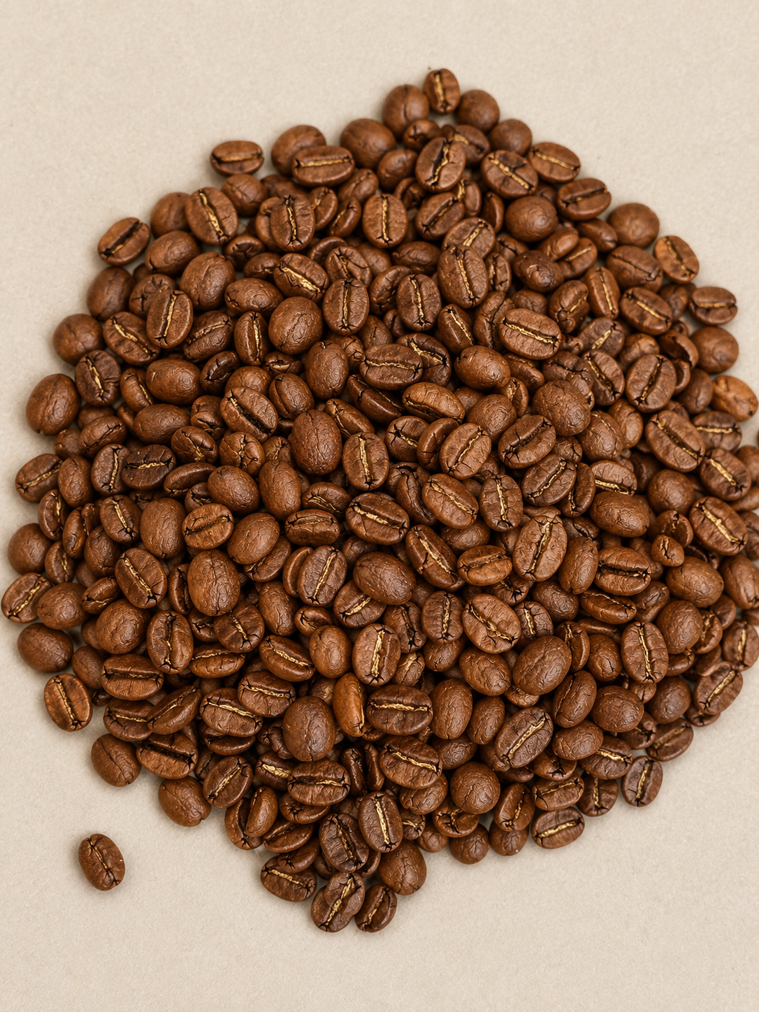 Premium Espresso (Exclusive Blend) 1kg - Görsel 4